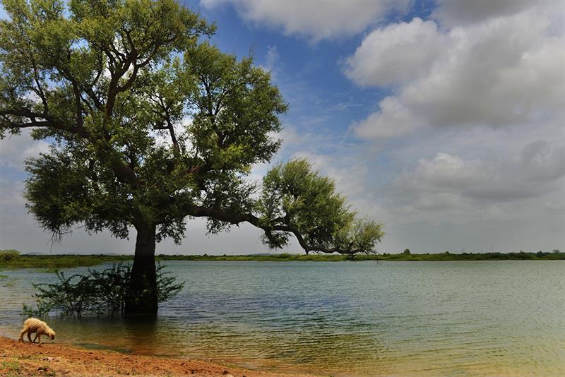 World Water Day 2025: Corporates and Communities Collaborate to Secure Water and Build Climate Resilience